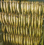 Рыбопереработка. Термокамеры для горячего копчения рыбы (электроразогрев) - сушка и горячее копчение рыбы.