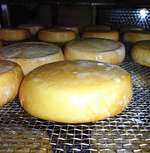 Производство рассольных сыров - прогрев и копчение