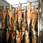 Рыбопереработка. Термокамера для горячего копчения рыбы (разогрев паром) -  сушка и горячее копчение рыбы. 